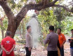 Depresi Karena Asmara, Seorang Duda di Jombang Nekat Gantung Diri Pohon Mangga