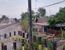 Balita 2 Tahun Di Jombang Tewas Tertabrak KA Argo Semeru