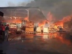 Pabrik Lantai Kayu PT Layo Seng Fong Jombang Ludes Terbakar