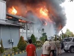 Pabrik Tisu di Mojokerto Diamuk Sijago Merah