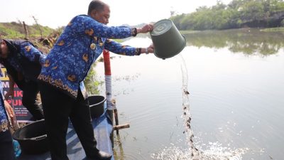 Pemkab Jombang Tebar Benih Ikan Di Sungai Konto Desa Bongkot