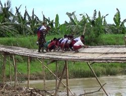 Jembatan Bambu Penghubung Antar Desa Di Kampung Laut Cilacap Nyaris Ambruk