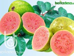 5 Jenis Buah Bisa Turunkan Kolesterol