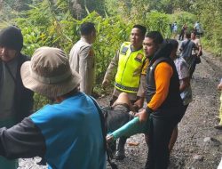 Mobil Pickup Terjun Bebas ke Jurang Sedalam 100 Meter di Muara Enim, 1 Korban Tewas