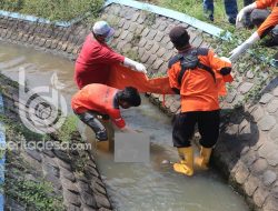 Jasad Bayi Prempuan Ditemukan Disaluran Irigasi di Jombang