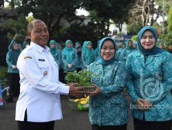Pj Bupati Jombang Libatkan PKK Menanam Cabai Perkuat Ketahanan Pangan