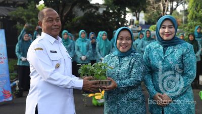 Pj Bupati Jombang Libatkan PKK Menanam Cabai Perkuat Ketahanan Pangan