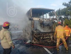 Bus Pahala Kencana Terbakar di Tol Jumo