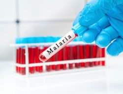 Penyebab, Gejala, dan Pengobatan Malaria