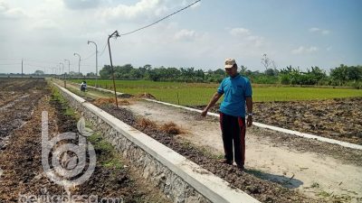 Dana Desa 2024, Pemdes Kedungmlati Jombang Bangun Drainase, TPJ dan Dueker