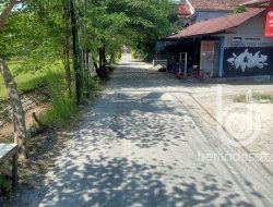 Pemdes Denanyar Jombang Bangun Jalan Dan Saluran Irigasi Dari DD 2024