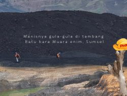 Dituding PHK Karyawan Tak Sesuai Aturan, Pengacara PT Bukit Asam Kreatif Angkat Bicara