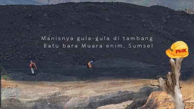 Dituding PHK Karyawan Tak Sesuai Aturan, Pengacara PT Bukit Asam Kreatif Angkat Bicara