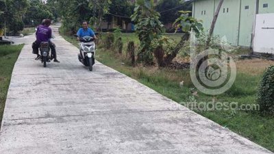 Dana Desa, Pemdes Mangunan Jombang Bangun Jalan Rabat Beton