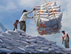 Isyu Mark Up Harga Beras Impor, CORE : Bulog Harus Diperiksa