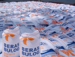 Perusahaan Vietnam Angkat Bicara Soal Dugaan Markup Beras Impor Bulog-Bapenas