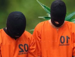 Polisi Gagalkan Peredaran 30 Kg Ganja di Tanjung Priok
