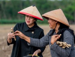 Dukung Pangan Lokal Guna Atasi Diabetes, Puan Sebut Bisa Kurangi Emisi 20 Persen