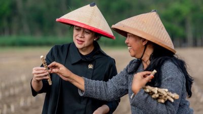 Dukung Pangan Lokal Guna Atasi Diabetes, Puan Sebut Bisa Kurangi Emisi 20 Persen