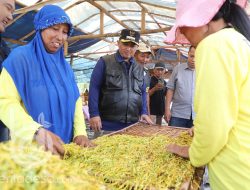 Pemkab Jombang Salurkan BLT DBHCHT Bagi Buruh Tani Dan Buruh Pabrik Rokok