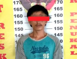 Maling Sapi Pakai Mobil, Warga Mangkunegara Pali Ditangkap