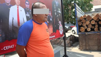 Perangkat Desa di Jombang Ditangkap Gegara Curi Kayu Jati Perhutani