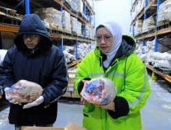 Kementan Sidak 13 Gudang Importir Daging Domba