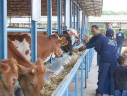 DKP2P Tuban Apresiasi Program Si Pandu dan Desi CSR PT. PLN Nusantara Power