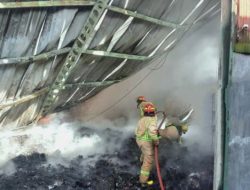 Api Hanguskan Pabrik Tali Rafia Di Mojongapit Jombang