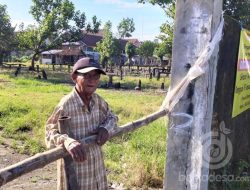 PMK Merebak, Pemkab Jombang Tutup 10 Pasar Hewan 14 Hari