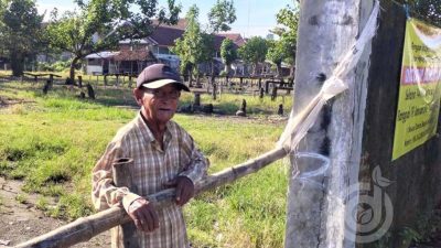 PMK Merebak, Pemkab Jombang Tutup 10 Pasar Hewan 14 Hari