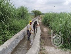Realisasikan Program P3-TGAI, Pemdes Janti Sukses Bangun Saluran Irigasi