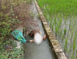 Identitas Mayat Tanpa Kepala di Jombang Terungkap, Korban Warga Jatirejo