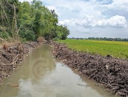 Dinas PUPR Jombang Normalisasi Sungai Afvour di Desa Watugaluh dan Pundong