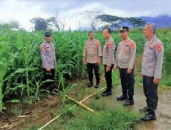 Dukung ketahanan pangan, Polres Muara Enim tinjau lahan Jagung di lereng Bukit Barisan