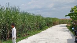 Proyek-jalan-rabat-beton-di-Jombng