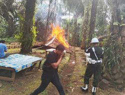 Tim gabungan musnahkan arena judi sabung ayam di Pancur Batu Medan