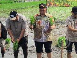 Bupati Warsubi pimpin gerakan tanam padi program LTT-MTS di Kendalsari Jombang