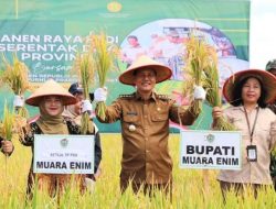 Panen raya nasional, Bupati Muara Enim panen raya bersama petani Tanjung Jati