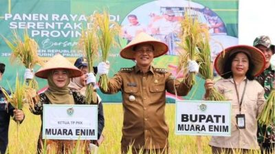 Panen raya nasional, Bupati Muara Enim panen raya bersama petani Tanjung Jati