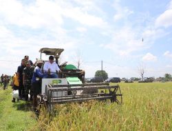 Panen raya padi, Bupati Jombang : Harga gabah petani ditetapkan Rp 6.500 per Kg