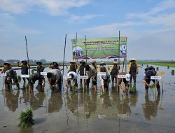Jombang Siap Dukung Pencapaian Swasembada Beras Nasional
