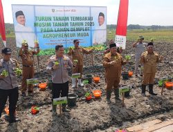 Pemkab Jombang Gelar Sosialisasi Tanam Tembakau 2025