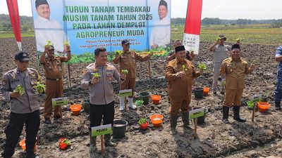 Pemkab Jombang Gelar Sosialisasi Tanam Tembakau 2025