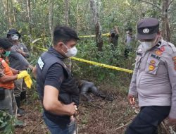 Warga Parjito Muara Enim Dihebohkan Penemuan Mayat Membusuk di Kebun Karet