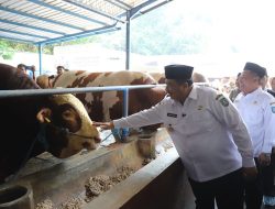 Jelang Idul Adha, Bupati Jombang Pantau Ketersediaan Hewan Kurban di Pasar