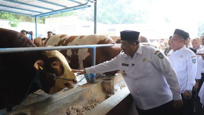 Jelang Idul Adha, Bupati Jombang Pantau Ketersediaan Hewan Kurban di Pasar