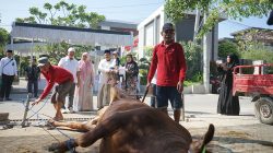 Idul-Adha-1446-H-warsubi-bupati-jombang-sembelih-58-ekor-sapi-korban