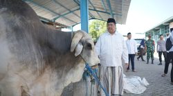 Warsubi-Bupati-Jombang-Potong-58-Ekor-Sapi-Kurban (1)