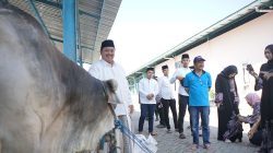 Warsubi-Bupati-Jombang-Potong-58-Ekor-Sapi-Kurban (4)